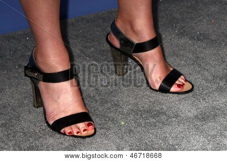 LOS ANGELES - JUN 12: Laura Linney dorazí na Crystal a Lucy Awards 2013 v Beverly Hilto
