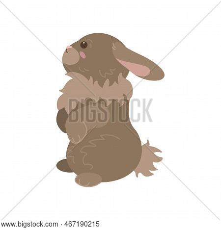Cute Brown Rabbit Vector & Photo (Free Trial) | Bigstock