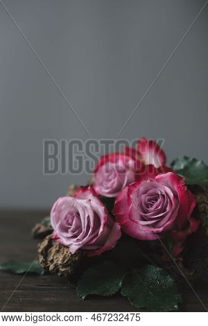 Flower Arrangement Of Pale Pink Roses With A Driftwood On A Wooden Table Under Falling Snow On A Gra