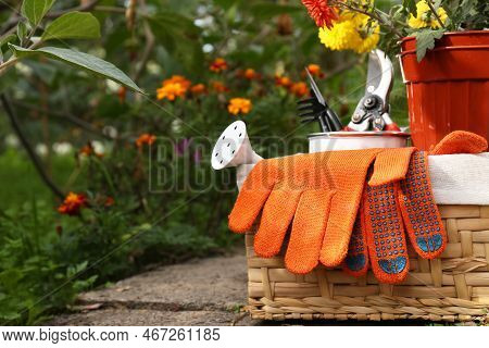 Wicker Basket With Gardening Gloves, Potted Flowers And Tools Outdoors, Space For Text