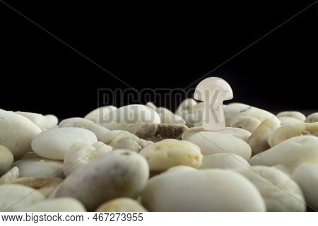 Stone Mushrooms Made From Mixed Gemstones And Crystalize Rock Showing Unique Patterns And Colours Us