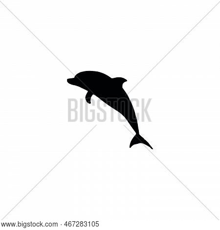 Dolphin Icon. Simple Style Dolphin Show Poster Background Symbol. Dolphin Brand Logo Design Element.