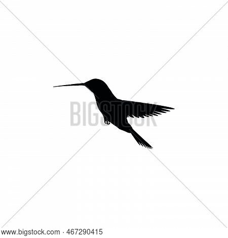 Humming Bird Icon. Simple Style Safari Travel Agency Big Sale Poster Background Symbol. Humming Bird