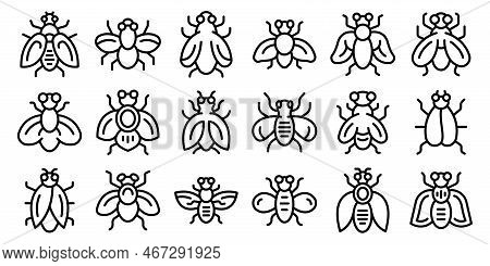 Tsetse Fly Icons Set Outline Vector. Dangerous Insect. House Animal
