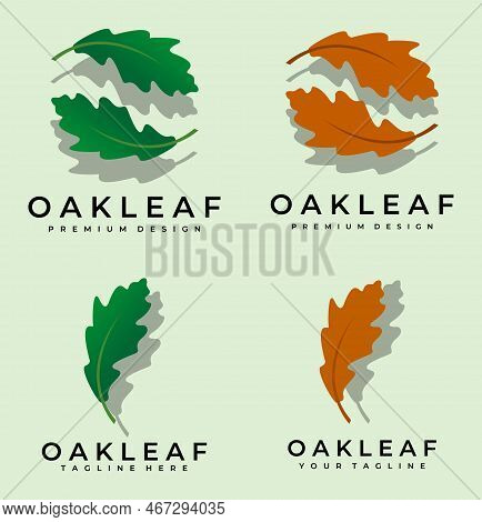 Set Of Various Leaf Logo Vector Illustration Template Icon Design