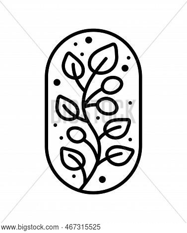 Vector Tea Leaves Branch Olives And Abstract Lines For Cafe Or Farm Product Label Eco Logo Organic P