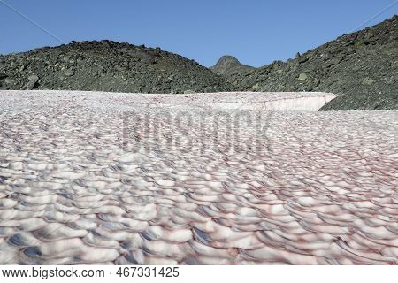 Pink Snow In The Mountains Of The Polar Urals. Yanao, Russia