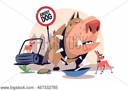 Angry Pitbull Dog In Collar With Spikes Vector Illustration. Angry Dog Sign. Fighting Dogs Flat Styl