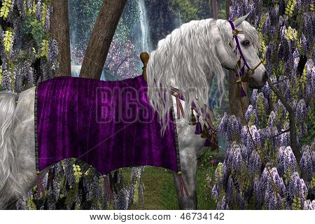 Arábigo y Wisteria