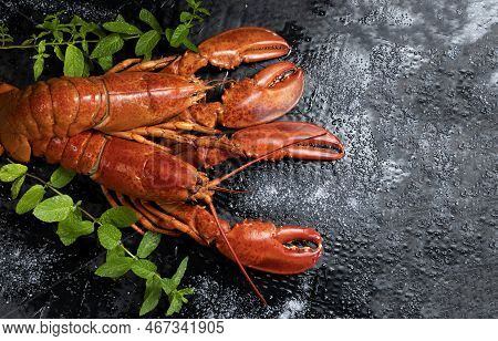 Two Cooked Lobsters, Seafood On Black Background Copia