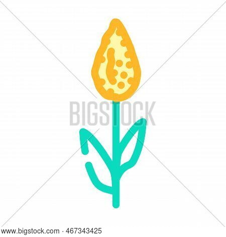Sorghum Plant Food Color Icon Vector. Sorghum Plant Food Sign. Isolated Symbol Illustration