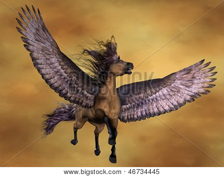 Gruella Pegasus