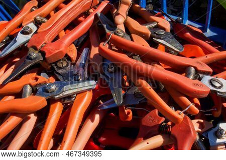 Menthon Saint Bernard, France - 17 September 2022: A Box Full Of Pruning Knifes That Are Used To Har