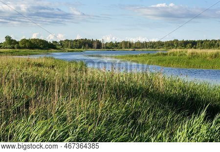 The River Or For Fishing. View Of The River From Afar. Landscape Of A Beautiful Natural River.