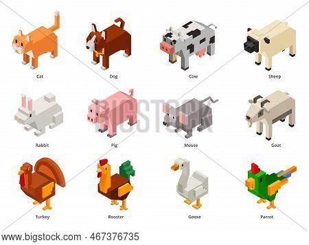 Isometric Domestic Animals. Low Poly Pets And Farm Birds. Squared Cat, Polygonal Dog And Voxel Rabbi