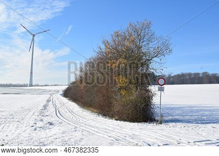 Tracks In The Snow Of The Dirt Road At A Tree Line
