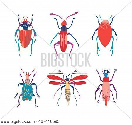 Insects As Hexapod Flying And Crawling Creature With Jointed Legs And Pair Of Antennae Vector Set