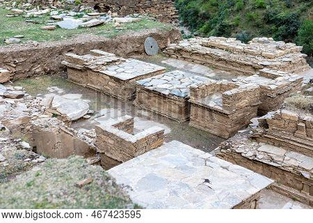 There Are Six Domed Cells Square In Shape, Which Occupy Each Side Of The Complex. Some Of The Cells 