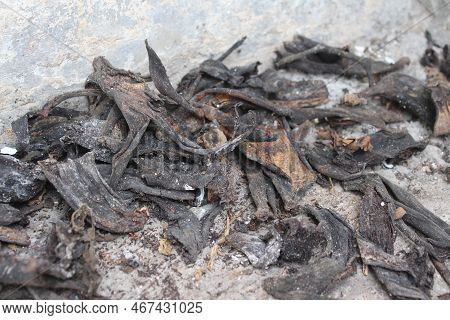 Pieces Of Dried Banana Peels, Used For Plant Fertilizer.