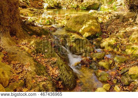View Of Rocks, Trees, Water Stream And Fall Foliage, In The Amud Stream Nature Reserve, Upper Galile