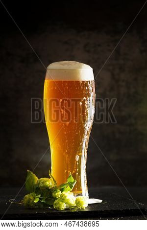 A Glass Of Light Beer With Foam On A Dark Background And Bunches Of Green Hops. Unfiltered Beer With