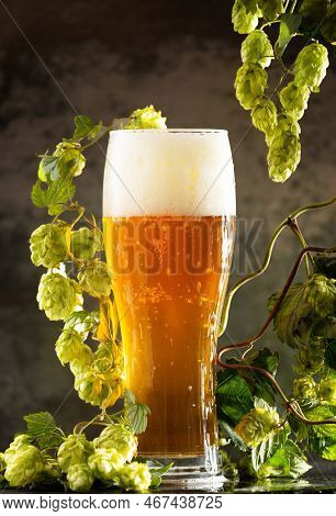 A Glass Of Light Beer With Foam On A Dark Background And Bunches Of Green Hops. Unfiltered Beer With