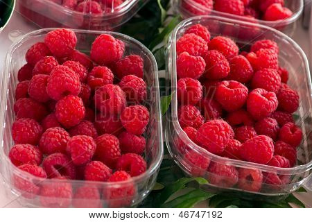 Tuoreita poimitut punaiset vadelmat (Rubus idaeus) koti Puutarha