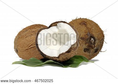 Coconut Slice. Coconut With Palm Leaves Isolated On White Background. Broken Coconut