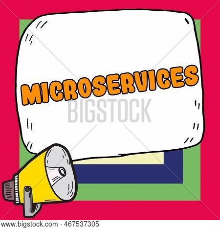 Conceptual Caption Microservices. Business Overview Software Development Technique Building Single F