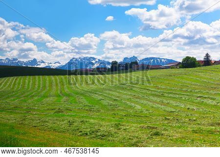 Alpine Village With Green Fields . Swiss Village In Alps