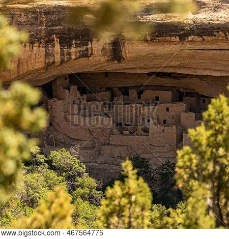 Tree Branches Frame Spruce Tree House From A Distance In Mesa Verde National Park