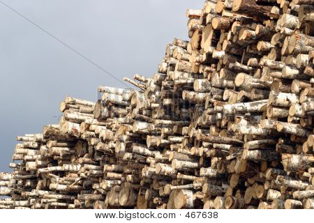 Holz-Protokolle