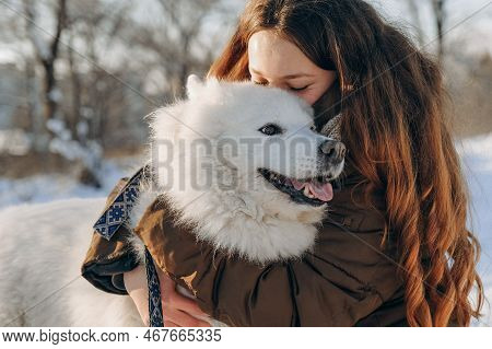 Winter Walk With Your Favorite Samoyed Pet.