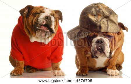 Bulldogs deler en Joke