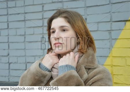 A Young Pretty Girl Standa Young Woman In A Brown Fur Coat Stands Without A Hat Against A Brick Wall