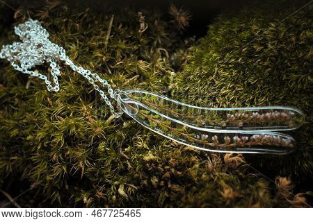 Close Up Clear Pendants With Wildflowers And Silver Chain Concept Photo. Front View Photography With