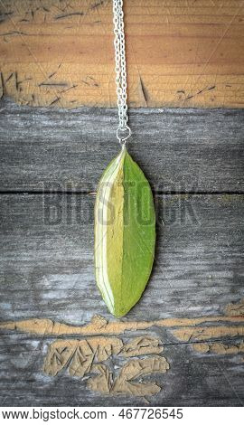 Close Up Leaf Shaped Pendant With Chain Concept Photo. Stylish Jewelry. Top View Photography With Ol