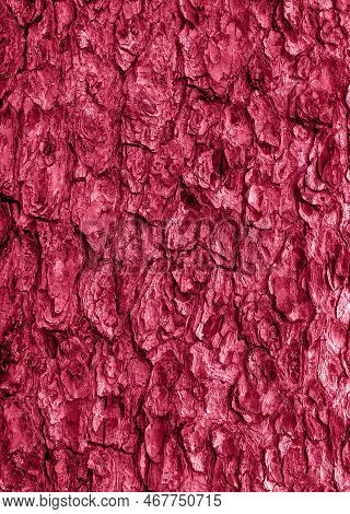 Abstract Natural Wood Texture Background. Toned In Trendy Magenta Color Of Year 2023. Tree Bark Back