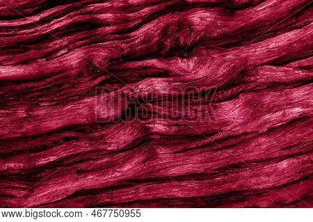 Abstract Natural Wood Texture Background. Toned In Trendy Magenta Color Of Year 2023. Tree Bark Back