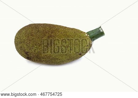 Raw Jackfruit Isolated On White Background With Copy Space For Texts Writing