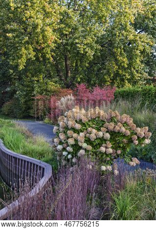 Colors Of Early Autumn Line A Path At Cantigny Gardens, Dupage County, Illinois