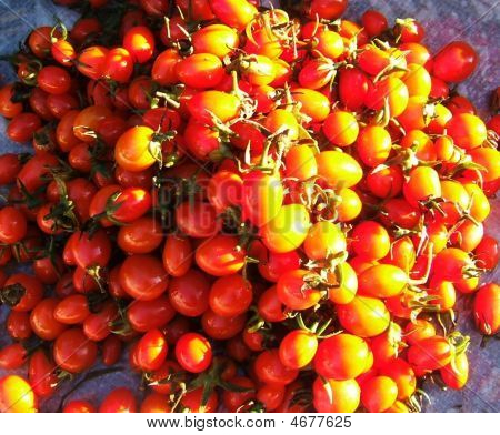 Cherrytomat