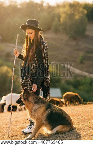 Female Shepherd With A Dog Grazes A Flock On The Lawn