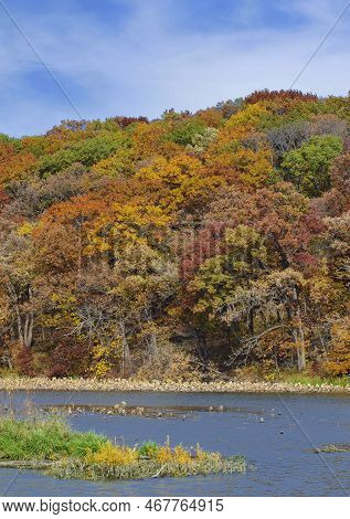 Autumn Forest Along The Desplaines River, Will County, Illinois