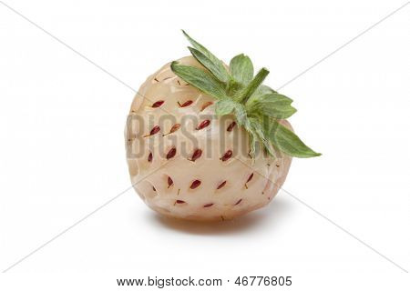 Toda sola pineberry sobre fondo blanco