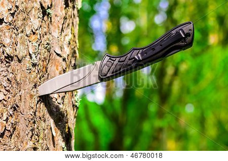 cuchillo en un árbol