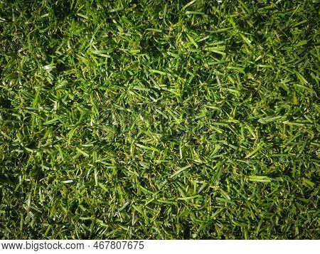 Close Up. Background Of Artificial Green Grass.