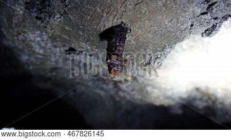 A Drop Of Water Hangs On A Rusty Screw In The Cave