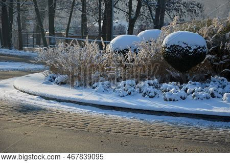 Roundabout Of Paving Gray Granite Cubes, Transport Hub, With Flowers And Grasses In The Middle Of Th