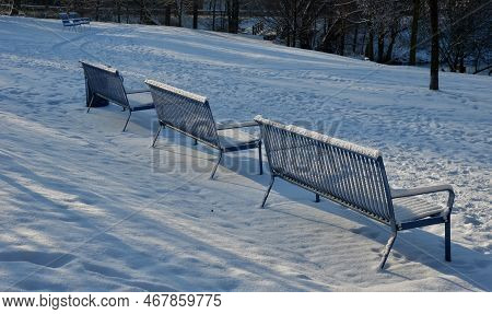 Park Benches In Light Blue Made Of Metal Strips Similar To A Lattice. Trash Can And Beautiful Lawn W